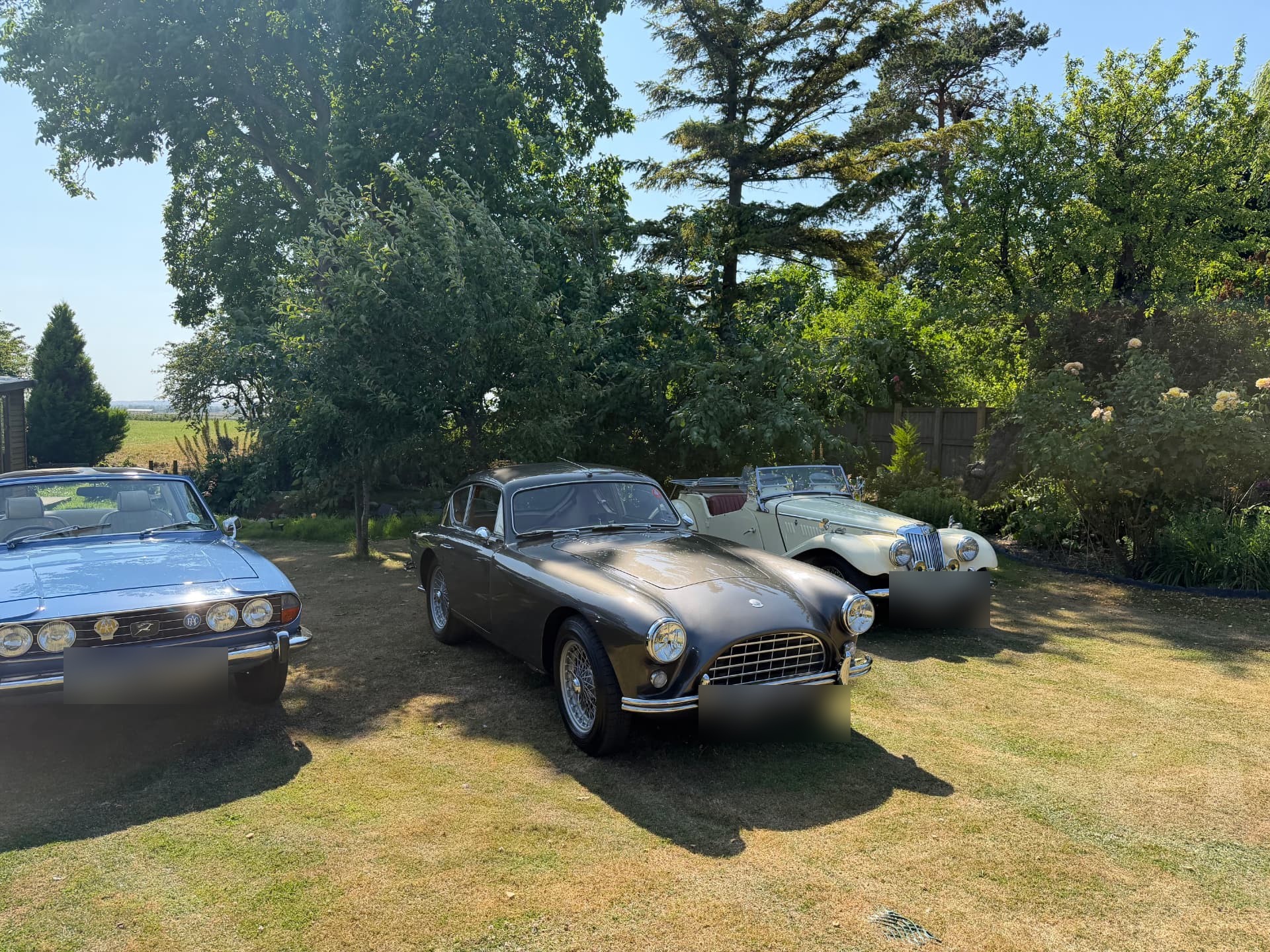 The same three cars on a bright summer morning, the AC Aceca-Bristol in the middle with the blue Triumph Stag to the left and the cream MG TF1500 behind to the right