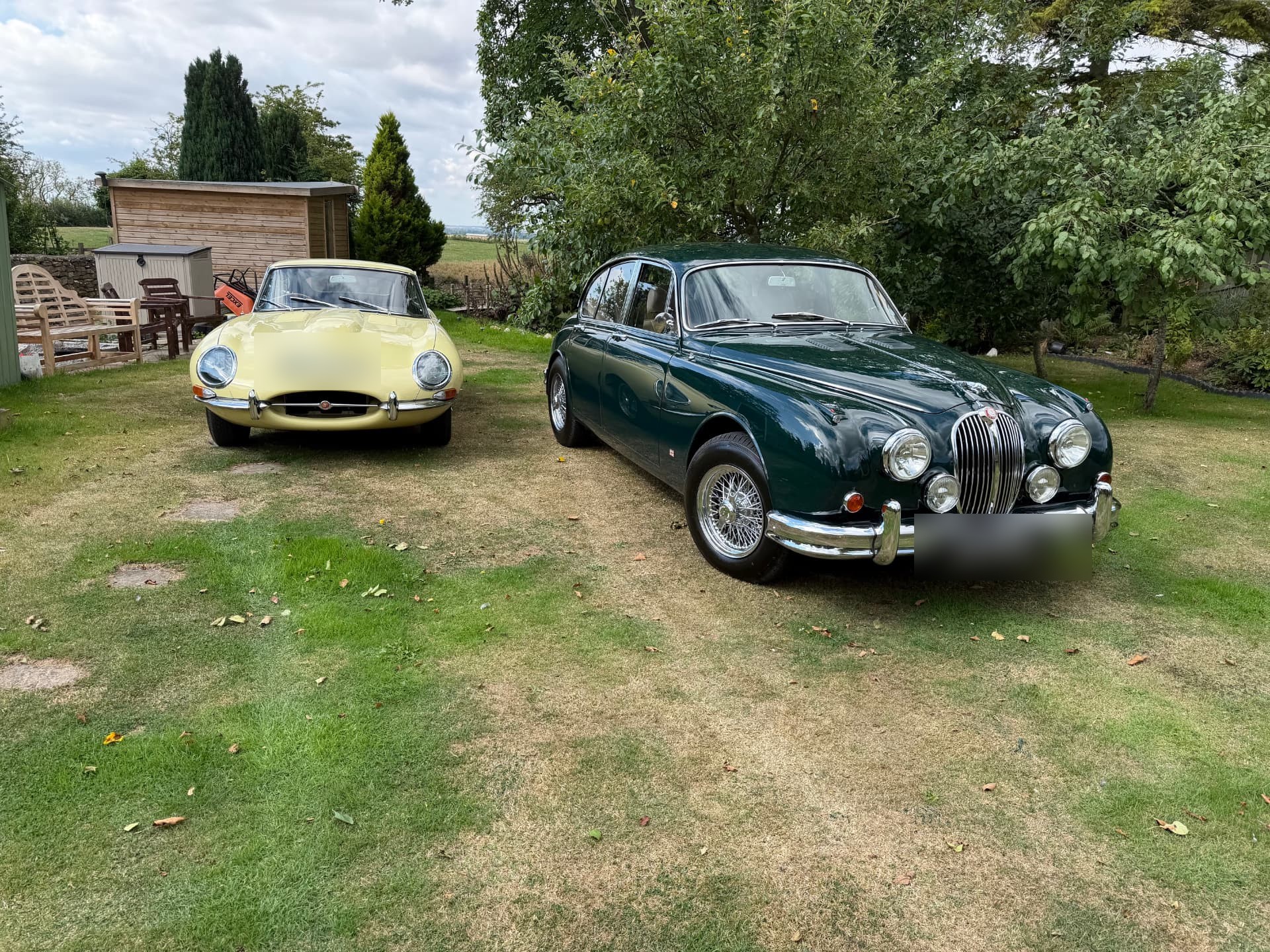 A pale yellow Jaguar E-Type Series 1 coupé and a dark green Jaguar Mk2 saloon parked side by side on a lawn, an apple tree behind them